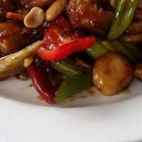Kung Pao Chicken / 宫保鸡 · Spicy.