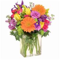 Celebrate Today! Bouquet · Add some pizazz to their life with this exciting arrangement! With purple iris, orange gerbe...