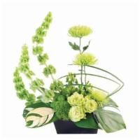 Lovely Lime · Black Rectangular Plastic Container, Greens: Calathea, Monstera, Lily Grass, Flowers: Bells ...