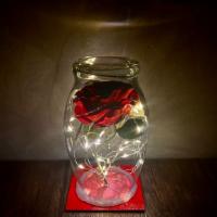 I Heart Bob · Beauty and Bob a romance only made in Tucson Az!! Enchanted rose in 7 inch glass enclosure w...