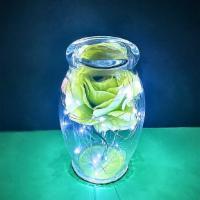 Pretty Green  · Big bold and beautiful green enchanted rose in 7 inch glass enclosure with led lights!