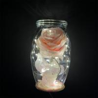 Petals Forever  · Pink rose with a bunch of fallen petals and led lights!!!