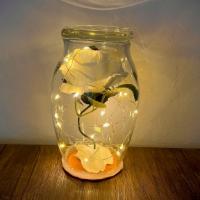Pablo Baby Powder · White enchanted rose in 7 inch glass enclosure with led lights and fallen petals over a wood...