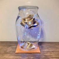 Gold Petals · Golden enchanted rose in 7 inch glass enclosure with fallen petals on a wooden square base!!