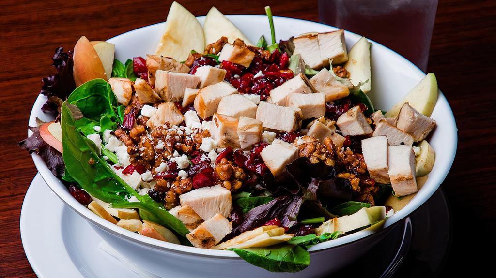 Candied Walnut & Chicken Salad · Grilled chicken breast with candied walnuts, dried cranberries & apple slices. Topped with feta cheese & served with our mango dressing.