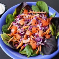 Side Salad · Organic Field Greens · Tomato · Red Cabbage · Carrots · Red Onion · Choice of Dressing