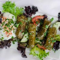 Veggie Stuffed Grape Leaves · Rice, tomato, and garbanzo beans rolled into dolmas. Served with tahini. VGN GF