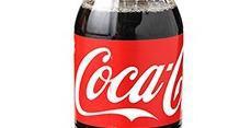Bottle Coke  · 16 oz