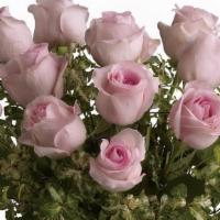 One Dozen Pink Medium Stem Roses Arranged In A Vase · One Dozen florist quality medium stem roses will be arranged as a bouquet  in clear  glass v...
