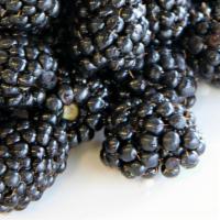 Blackberries · 1.5oz