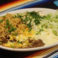 Pollo Blanco Enchilada · Gluten Free. Two chicken enchiladas with white jalapeno sauce and garnished with cilantro. I...