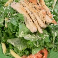 Vegan Chicken Caesar Salad · Grilled chicken breast, romaine lettuce, shredded parmesan sprinkles, penne pasta tossed in ...