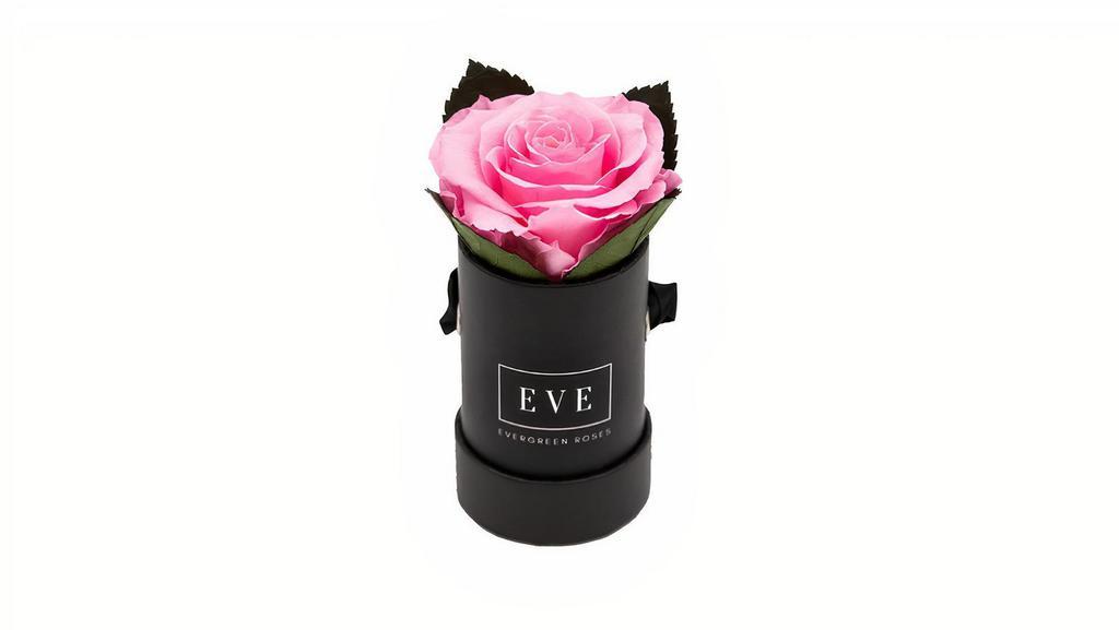 Hummingbird Rose Arrangement With Leaves (Pink Rose/Black Box) · The Hummingbird arrangement contains a single Pink Premium Preserved Rose with the addition of preserved rose leaves in a 2