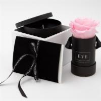 Gift Box With Pink Rose And Fragrant Candle · Our Premium Preserved Roses along with a beautiful and fragrant hand-poured candle tumbler w...