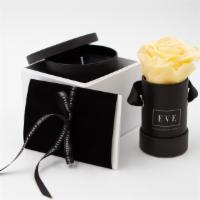 Gift Box With Apricot Rose And Fragrant Candle · Our Premium Preserved Roses along with a beautiful and fragrant hand-poured candle tumbler w...