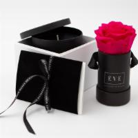 Gift Box With Hot Pink Rose And Fragrant Candle · Our Premium Preserved Roses along with a beautiful and fragrant hand-poured candle tumbler w...