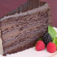 Double Chocolate Cake · Chocolate cake and chocolate ganache.