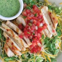 Baja Salad · 