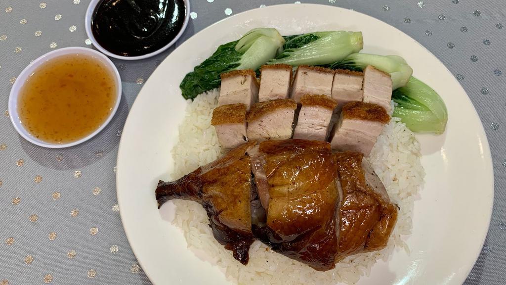 Roast Pork And Roast Duck/Bbq Pork Over Rice(Choice Of Two Bbq Meat) 燒臘雙拼飯13.99 · Mekong homemade signature roast duck，roast pork or BBQ pork with steam white rice and tender green vegetables.Choose two of the BBQ meat.