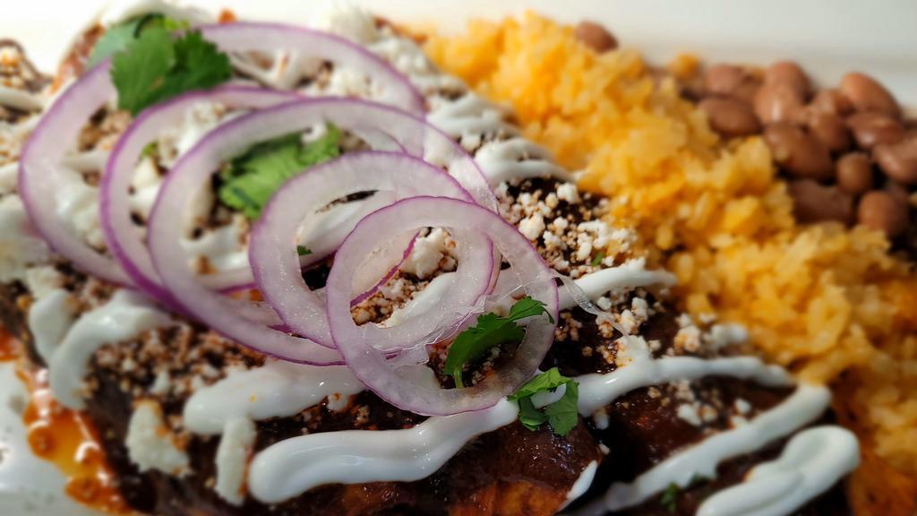 Large Flour Enchilada · A flour tortilla rolled with shredded (white meat) chicken. Topped with Oaxacan mole sauce, queso fresco, sour cream, cilantro, onions, rice, and beans.
