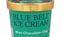 Mint Chocolate Chip Ice Cream · 