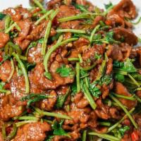 Sautéed Spicy Beef With Fresh Peppers & Cilantro / 小炒黄牛 · Flank steak , fresh cilantro, Thai chilies, brown sauce.