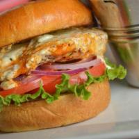 Buffalo Chicken · If you can’t handle it, don’t order it! No refunds! grilled chicken / buffalo sauce / bleu c...