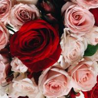 Rosey Reds & Pinks  · Stunning red roses and pink spray roses make for an elegant and beautiful bouquet.