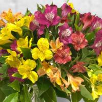 Alstroemeria Delight · Alstroemeria is a flower that symbolizes support. This arrangement is perfect for saying con...