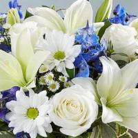 Get Well Florals Designer'S Wrap · These flowers are sure to make them smile when they need it the most. Show them you care wit...