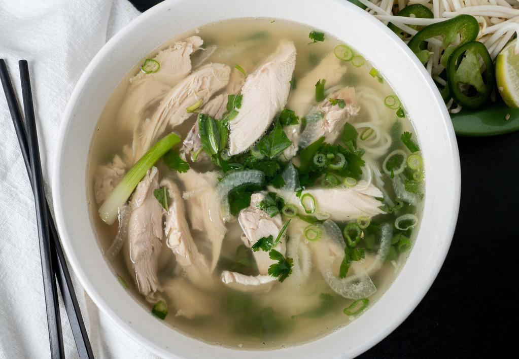 Chicken Noodle Soup · Slices of chicken with green onions and rau ram.