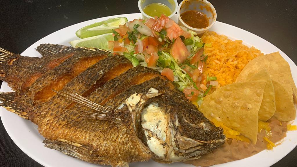 Mojarra W/ Rice & Beans Plate · Deep fried Tilapia Fish, served with rice, beans & Tortillas