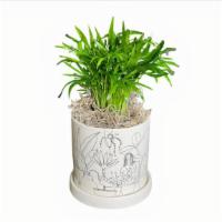 Plant Lady Pot · The Plant Lady pot boasts a beautiful 360 illustration with a different view from every angl...