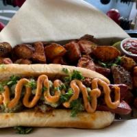 Birria Dog · Pork sausage, deli roll, barbacoa, house relish, honey arbol mustard, cilantro, served with ...