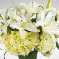 Elegant White Lily · Send your condolences with this white lily and hydrangea arrangement. Approximate dimensions...