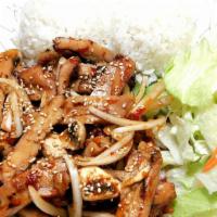 Spicy Chicken Teriyaki · Served with salad and rice.