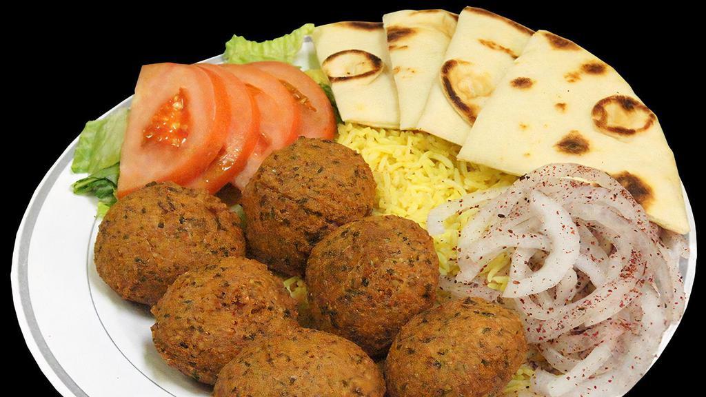 Falafel Plate · falafel, rice, lettuce, tomato, onion, hummus, tzatziki, and pita bread (vegan)