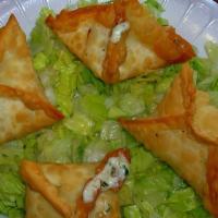 Cheese Sambusek · Four pieces. A mix of feta and other Middle Eastern cheeses, parsley, and spices wrapped in ...