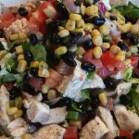 Southwest Salad · Romaine lettuce with chicken, tomatoes, our southwest garnish which includes black beans, co...