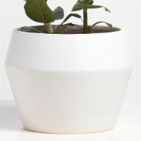 Mod Diamond · A stunning twist on the classic cone planter, this classic ceramic planter has a hand finish...