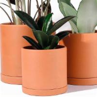 Terracotta W/Saucer · The pots are well made of top-quality clay with a smooth finish. Terracotta Pot is crafted w...