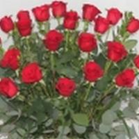 2 Dozen Premium Red Roses · Two dozen premium red roses in a recycle urn vase with assorted green.. Fabulous!!!! We are ...