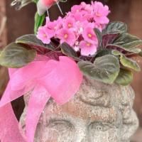 Flowering Cherub · This Adorable Cement Based Cherub with a Cute Little African Violet, Bow and Hungry Humming ...