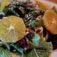 Citrus Salad · Organic mixed greens, radish, red onion, sliced valencia, cranberries, ancho-chili tamarind ...