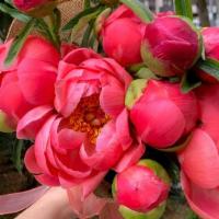 Peony Wraps · Stunning Wrapped Local Peonies!! Our color supply rotates so specific colors cannot be guara...