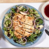 Santa Fe Chicken Salad · Grilled chicken breast, pico de gallo, black beans, cheddar cheese and red onions on a bed o...