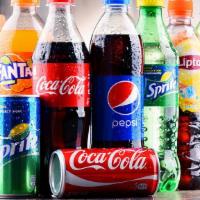 Bottled & Canned Drink · Your choice of bottled & canned soda served cold.