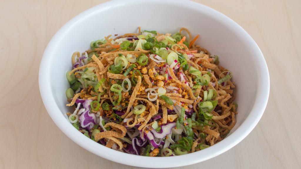 Spicy Cabbage Salad · Cabbage, spicy peanuts, fried wontons, carrots, English cucumber, scallions, radish, and hot mustard dressing on the side.