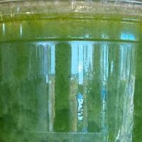 Green Rush Smoothie · Vegan. Water. Green grapes, spinach, kale, banana, avocado, lemon, ginger dates
