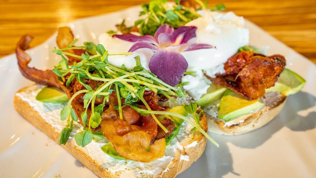Avocado Sunrise · Toasted bread with cream cheese spread, topped with fresh avocado, (4) bacon, roasted tomatoes, pea sprouts and 2 eggs. Garnished with an edible flower.